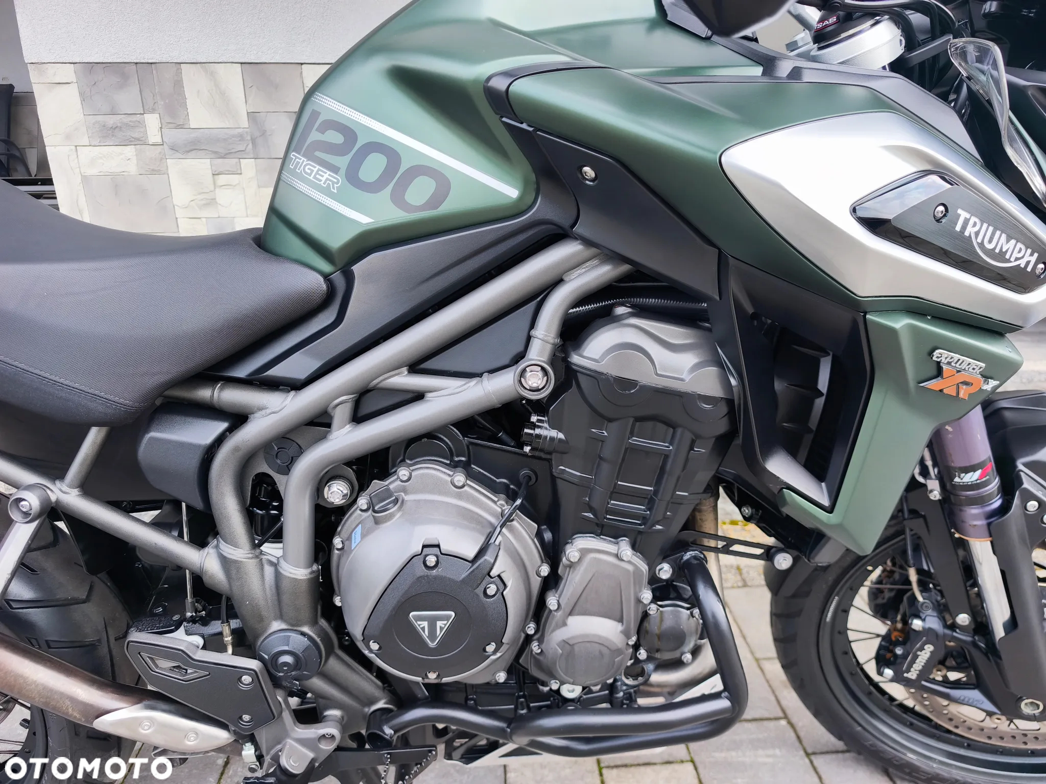 Triumph Tiger - 10