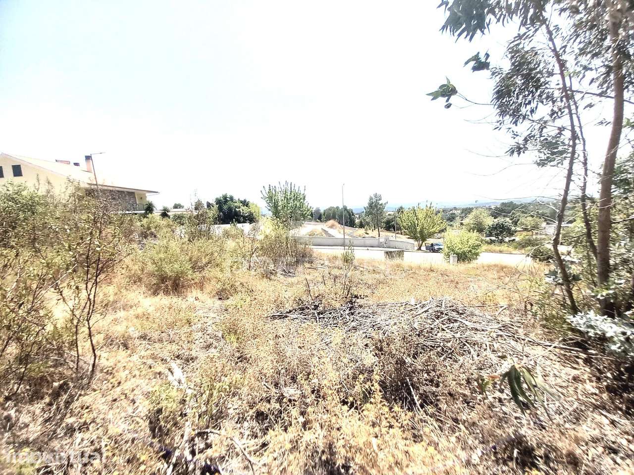 Lote para Construção de Moradia, Mouriscas. - Grande imagem: 4/7