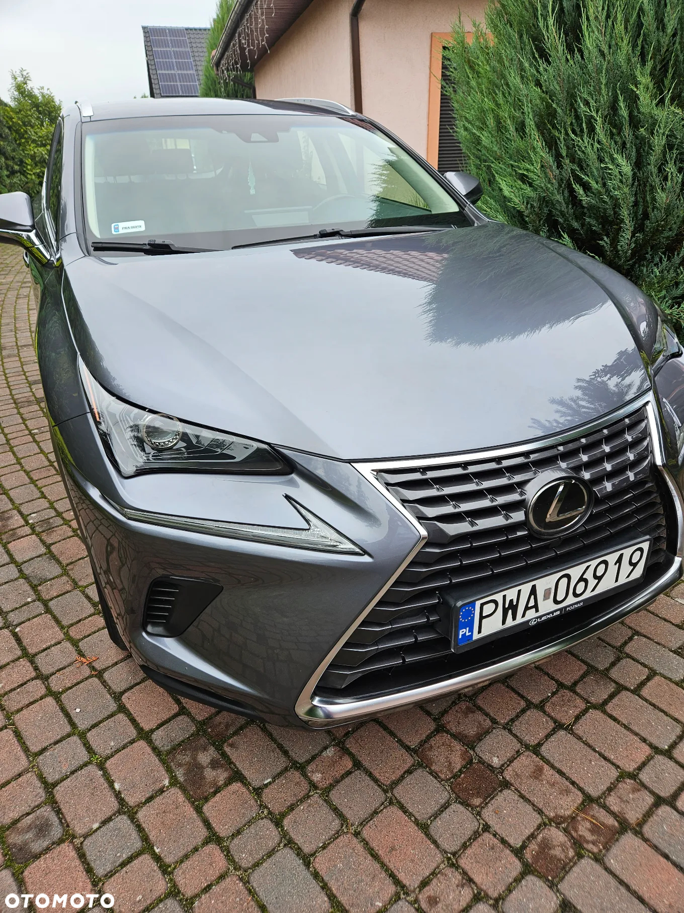 Lexus NX 300 Comfort AWD - 5