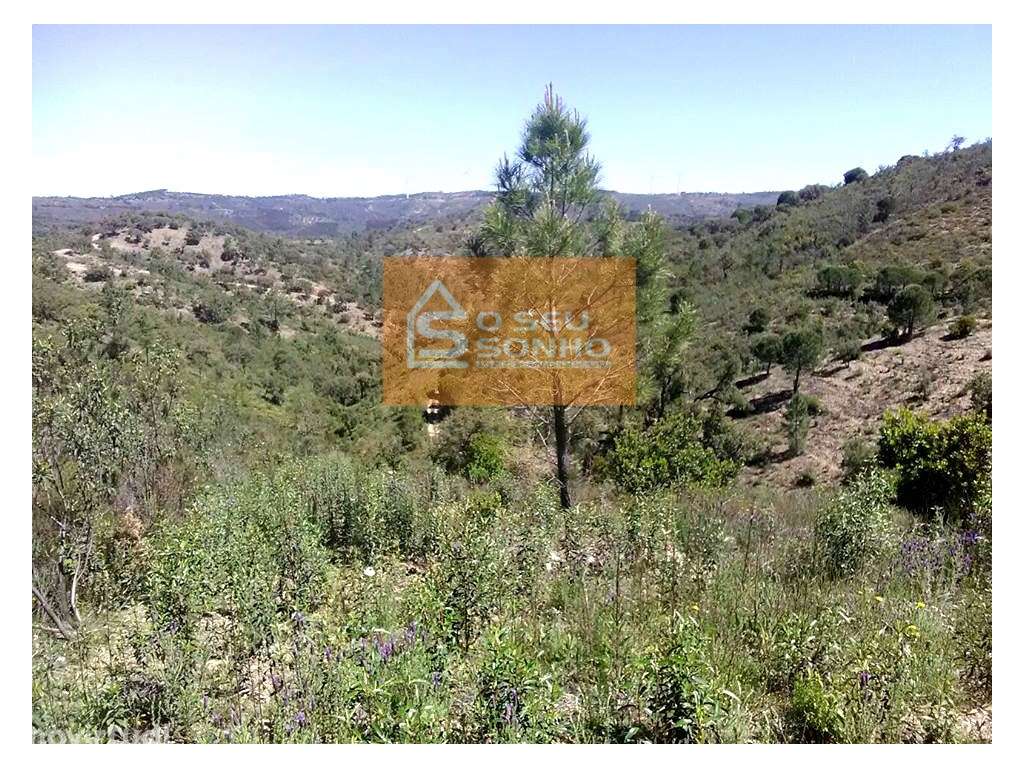 Terreno Rústico no Javali - Grande imagem: 5/6