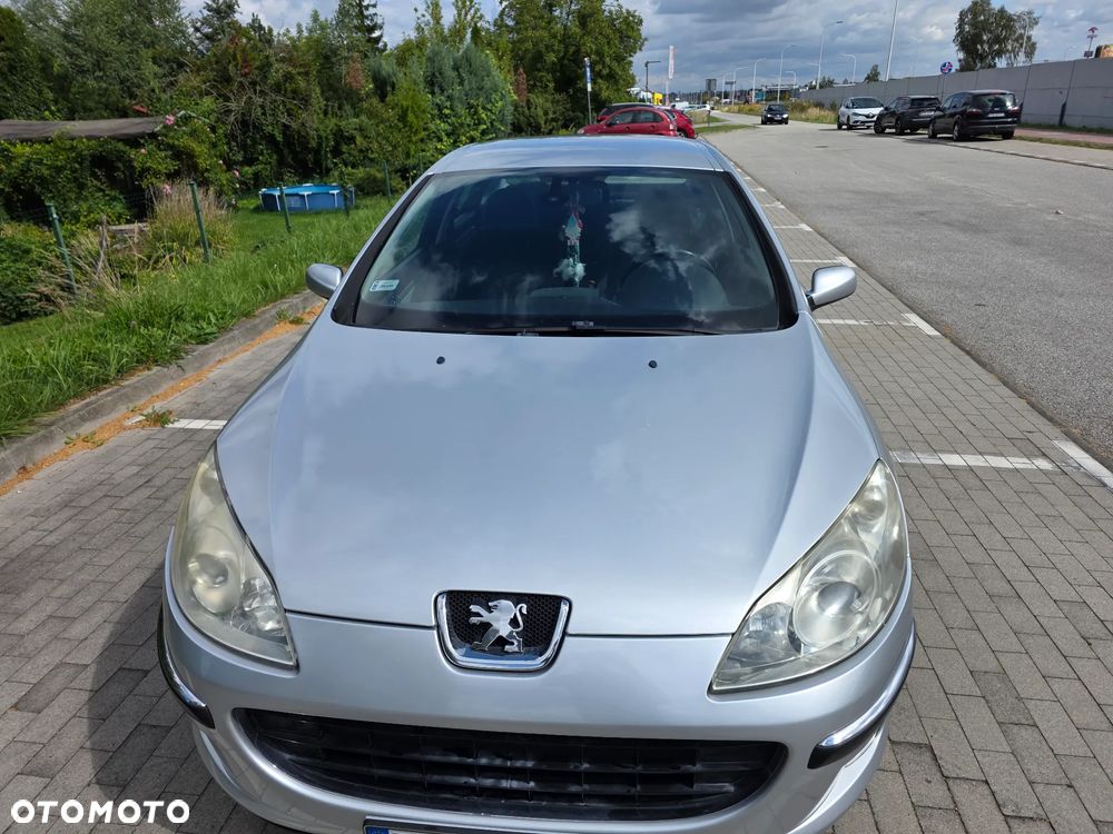 Peugeot 407 - 17