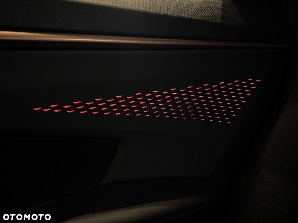 Cupra Terramar - 19