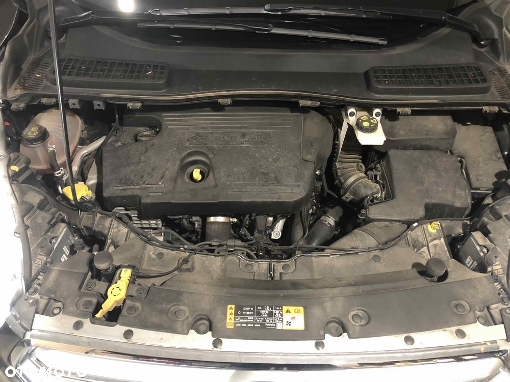 Ford Kuga 2.0 TDCi AWD Titanium - 10