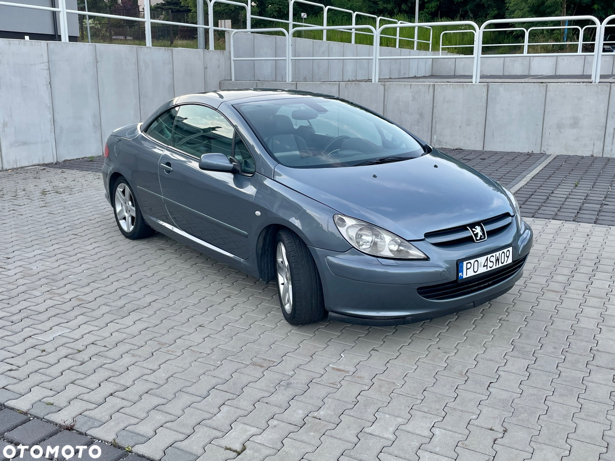 Peugeot 307 CC 2.0 - 21