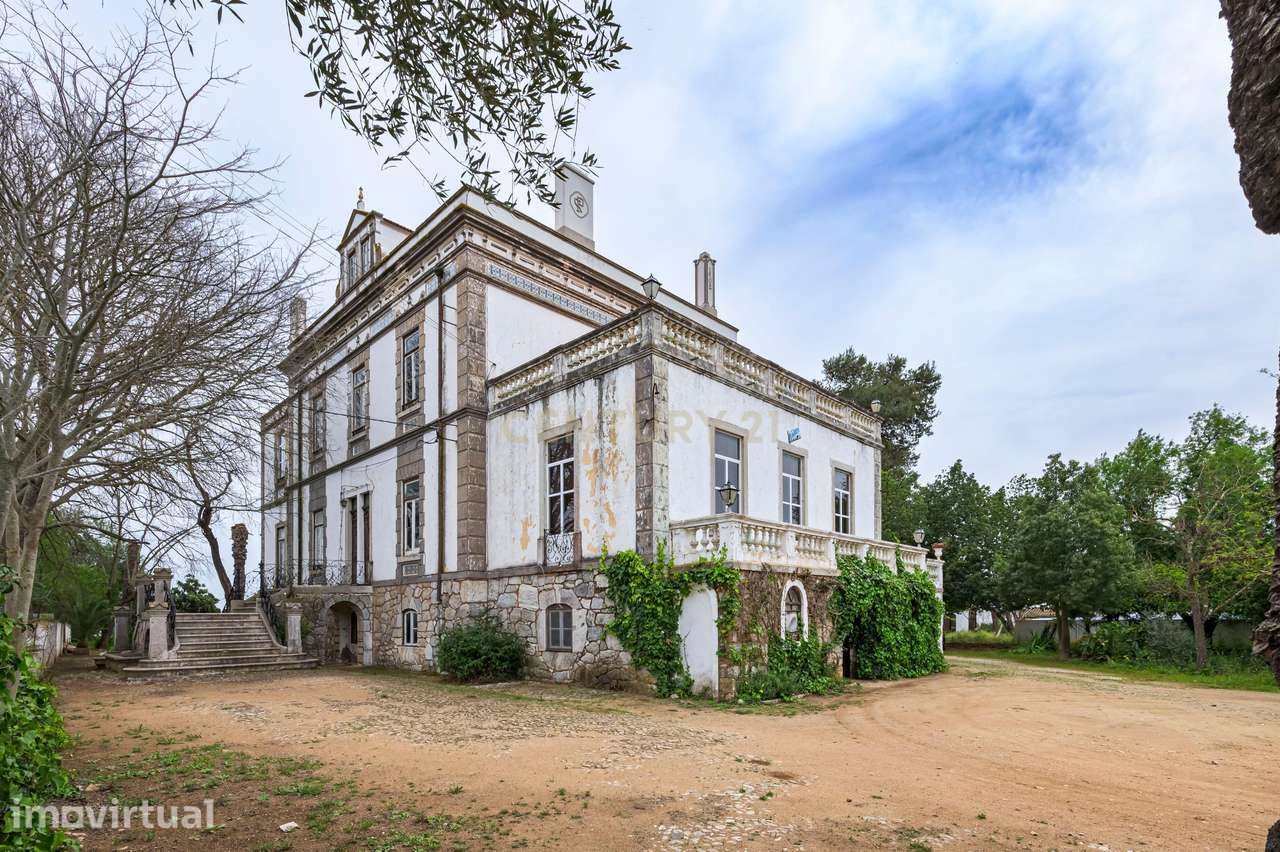 Quinta de 10.300m2 com Palacete do sec. XIX em Serpa - Grande imagem: 4/44