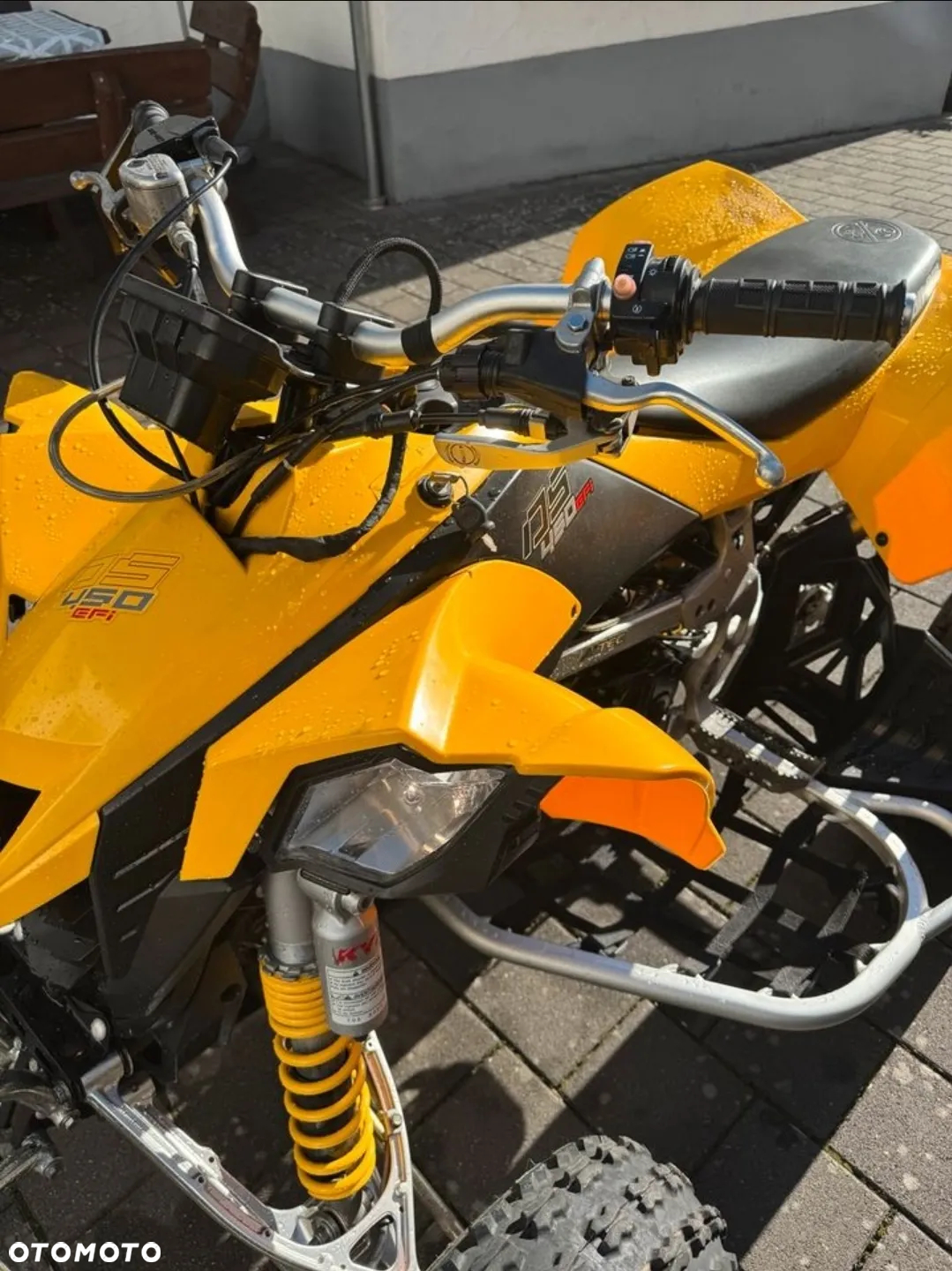 Can-Am DS - 4