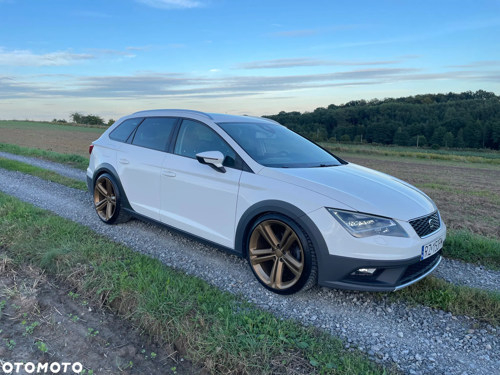 Seat Leon ST 2.0 TDI Start&Stop 4Drive X-Perience - 7