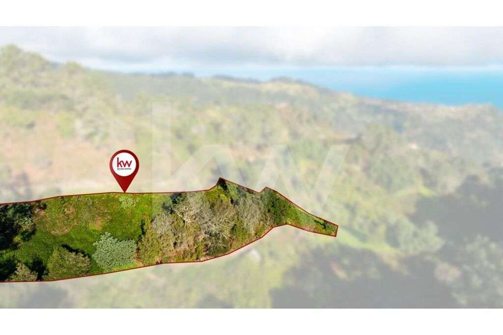 TERRENO COM 2980 M2 - SANTANA - ILHA - Grande imagem: 5/15