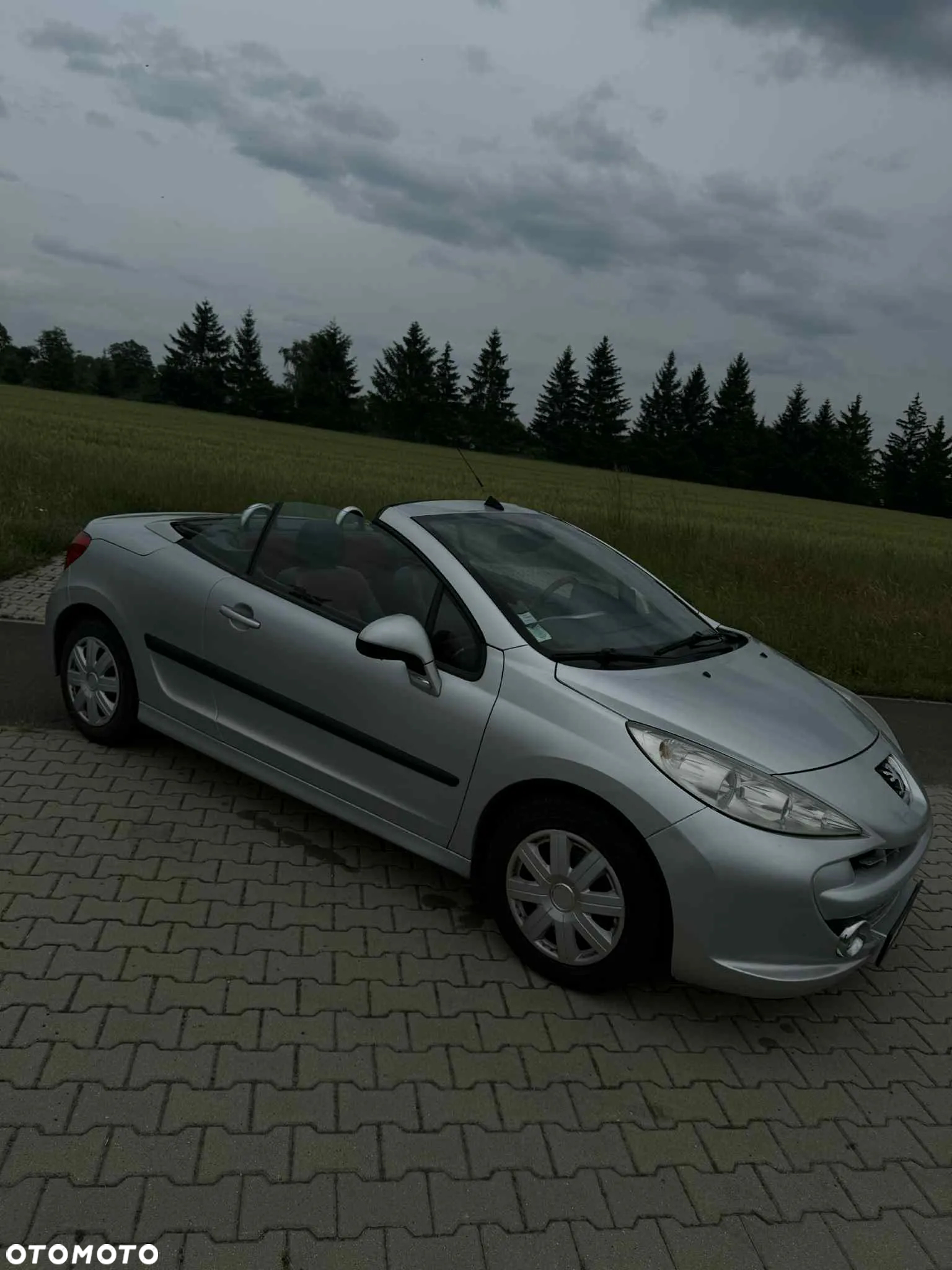 Peugeot 207 CC 1.6 Sport - 9