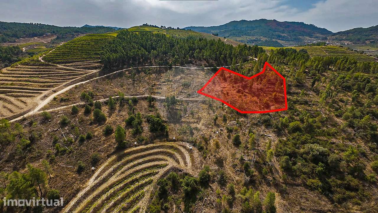Terreno  para venda - Grande imagem: 3/10