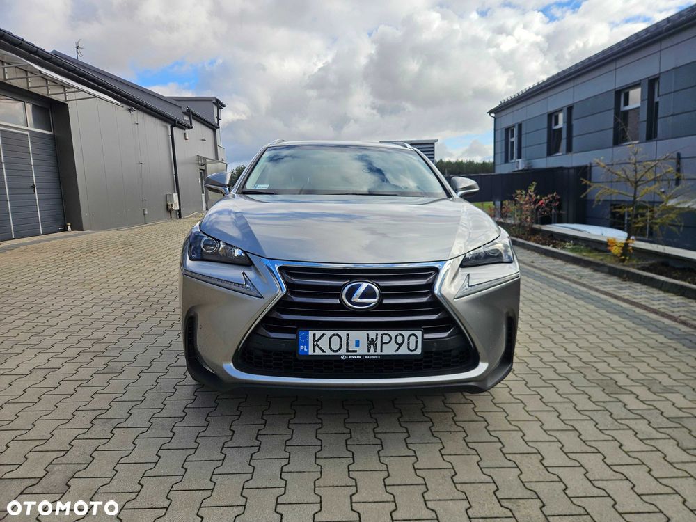 Lexus NX - 6