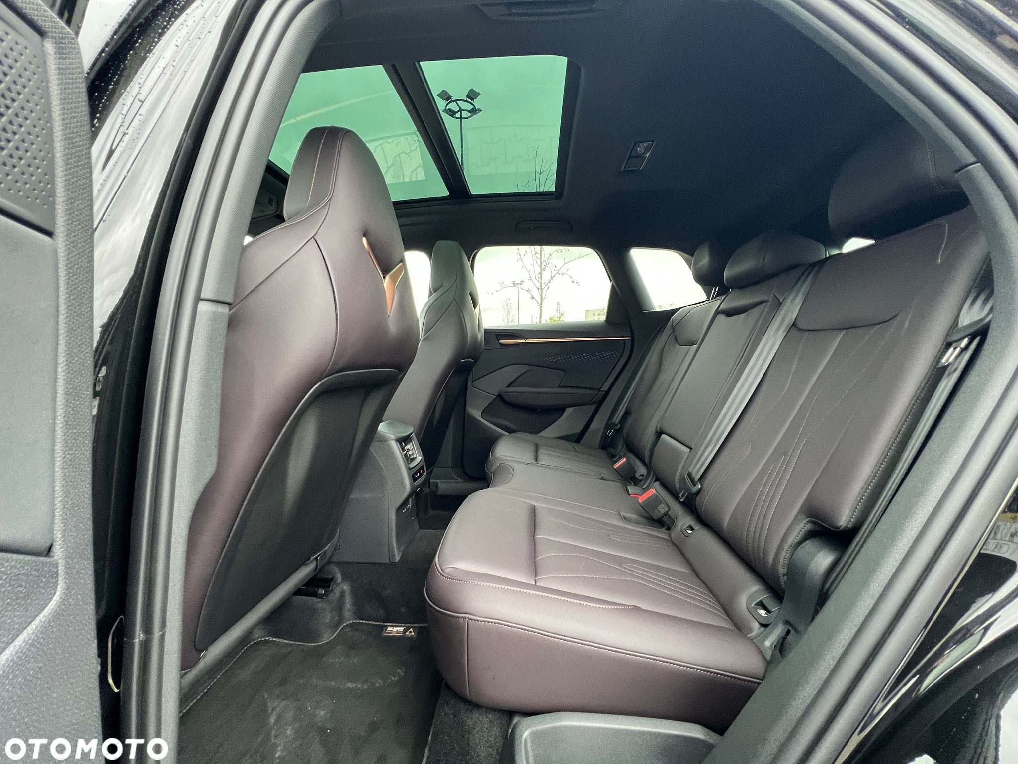 Cupra Terramar 2.0 TSI 4Drive VZ DSG - 20