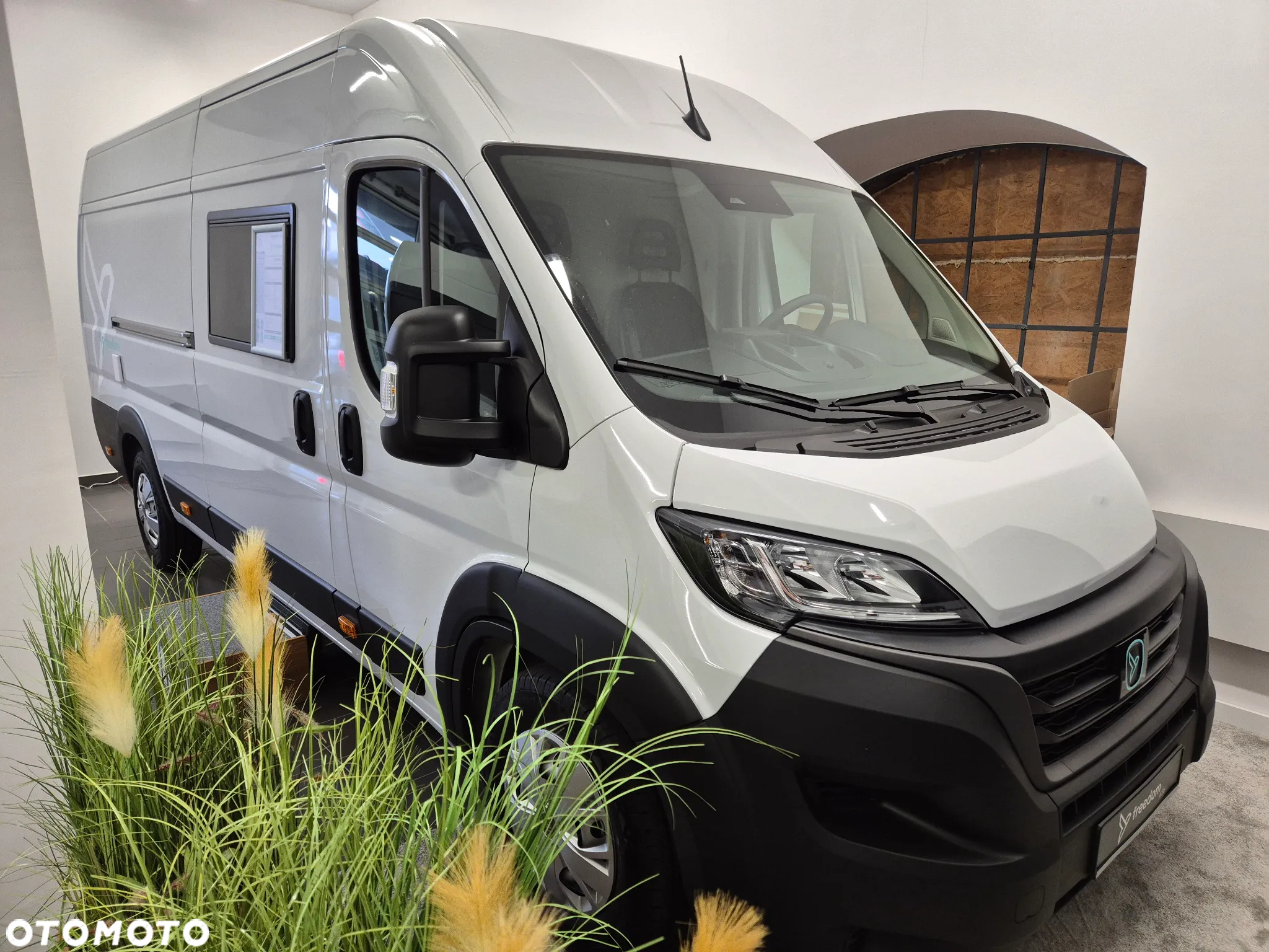 Affinity Freedo 636 - 3