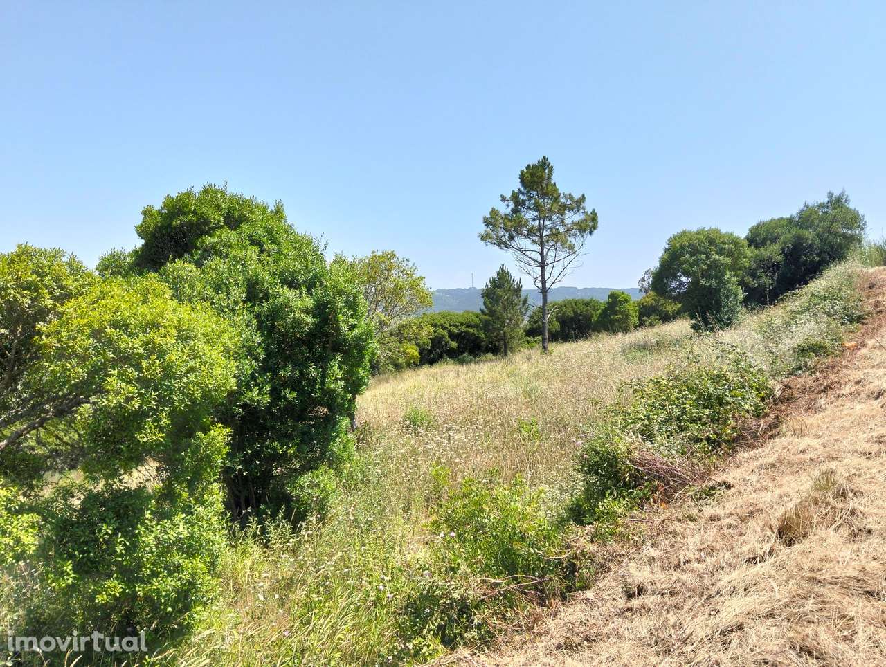 Terreno Estrada p/serra da pescaria /Praia do Salgado-Nazaré -Leiria - Grande imagem: 2/15