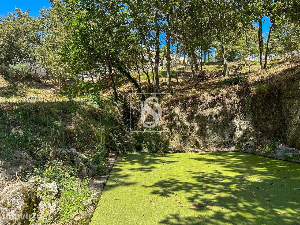 Terreno  Venda em Lufrei,Amarante - Grande imagem: 3/12