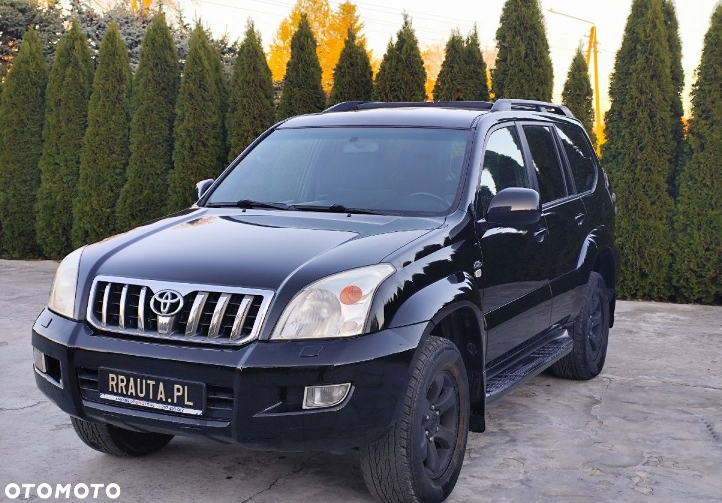 Toyota Land Cruiser - 31