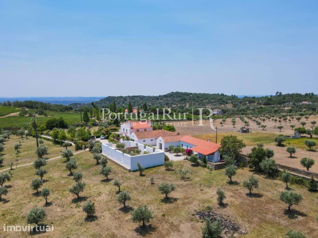 Quinta magnífica na Serra de S. Mamede com Turismo Rural - Grande imagem: 3/60