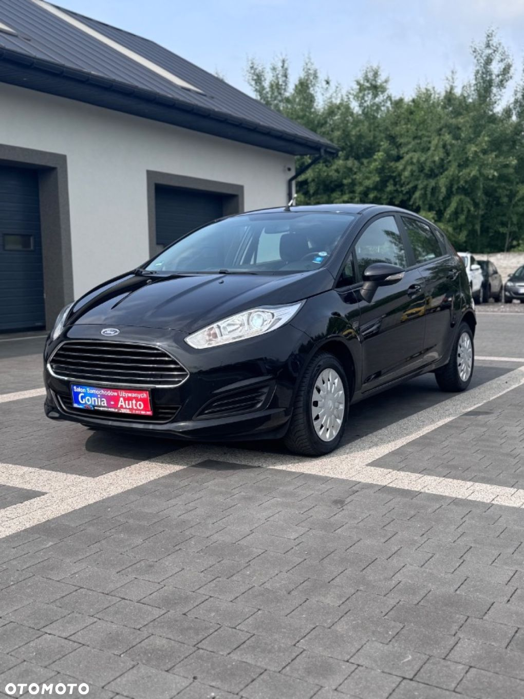 Ford Fiesta - 3