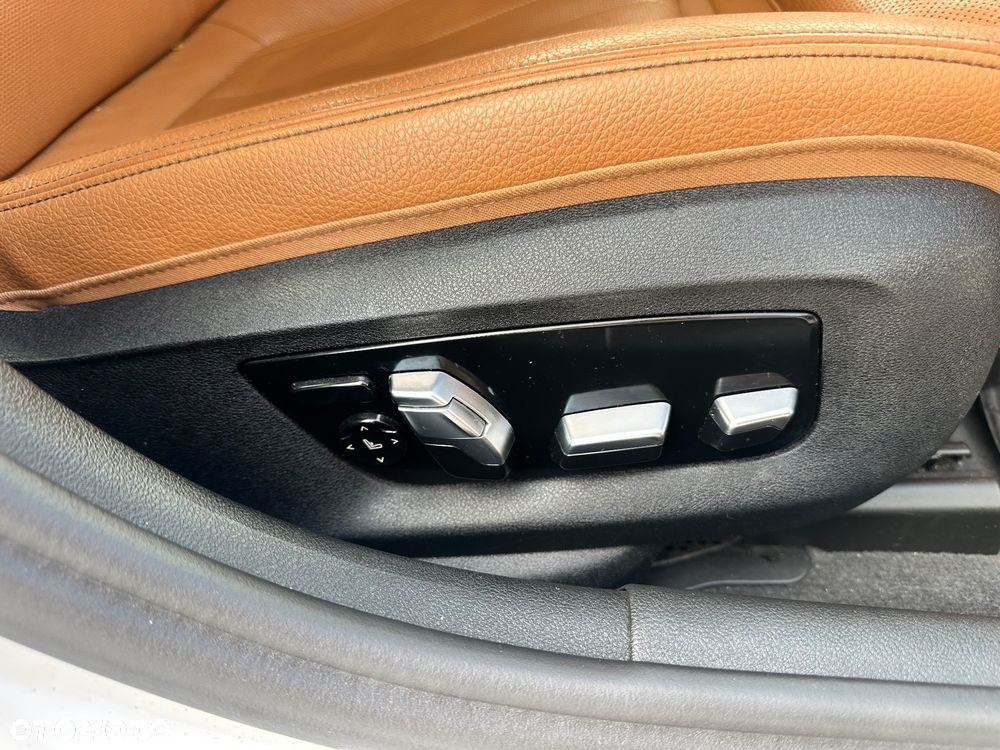 BMW Seria 5 520d Luxury Line - 21