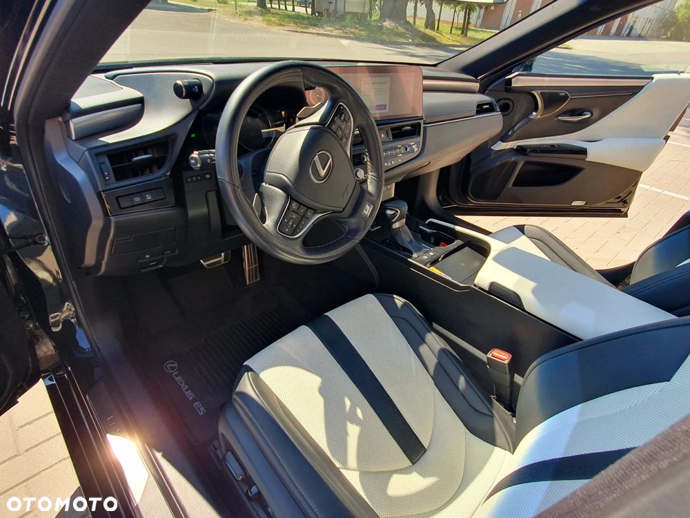 Lexus ES 300h F Sport Edition - 14