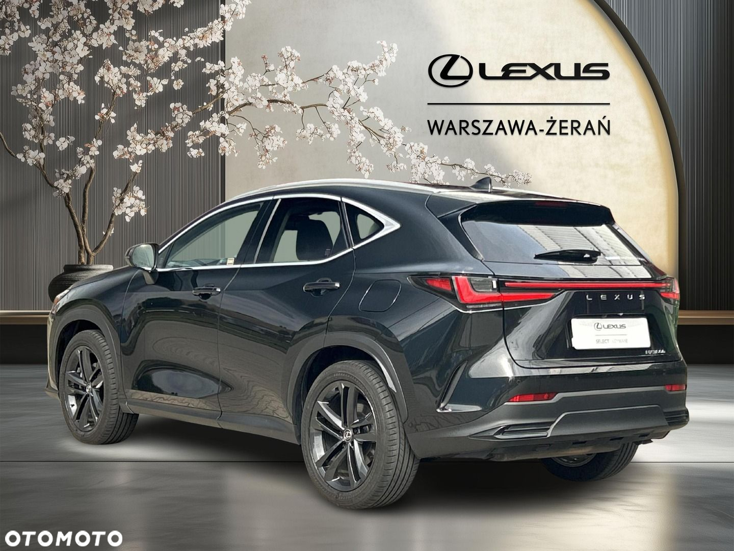Lexus NX - 5