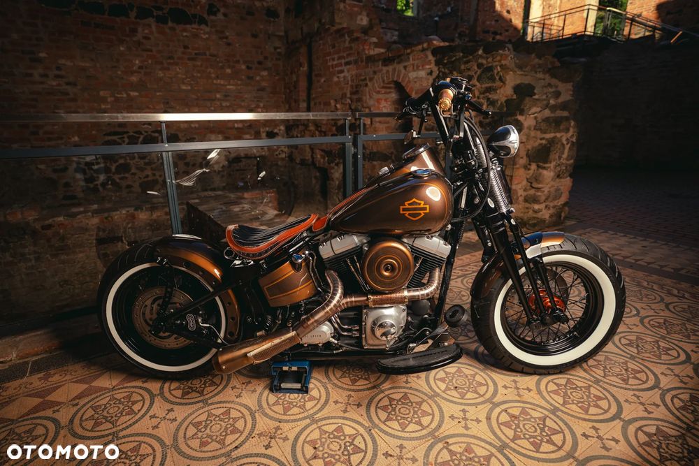 Harley-Davidson Softail Cross Bones - 17
