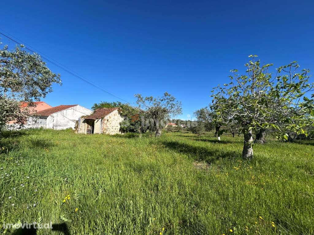 Terreno plano para construção - Pesqueira, Tomar - Grande imagem: 4/25