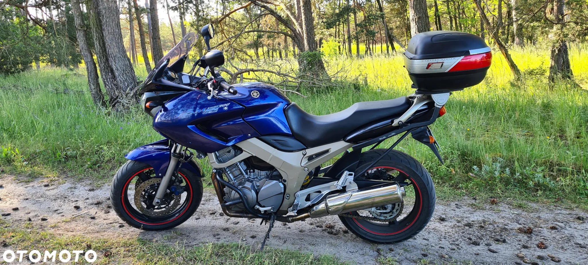 Yamaha TDM - 6