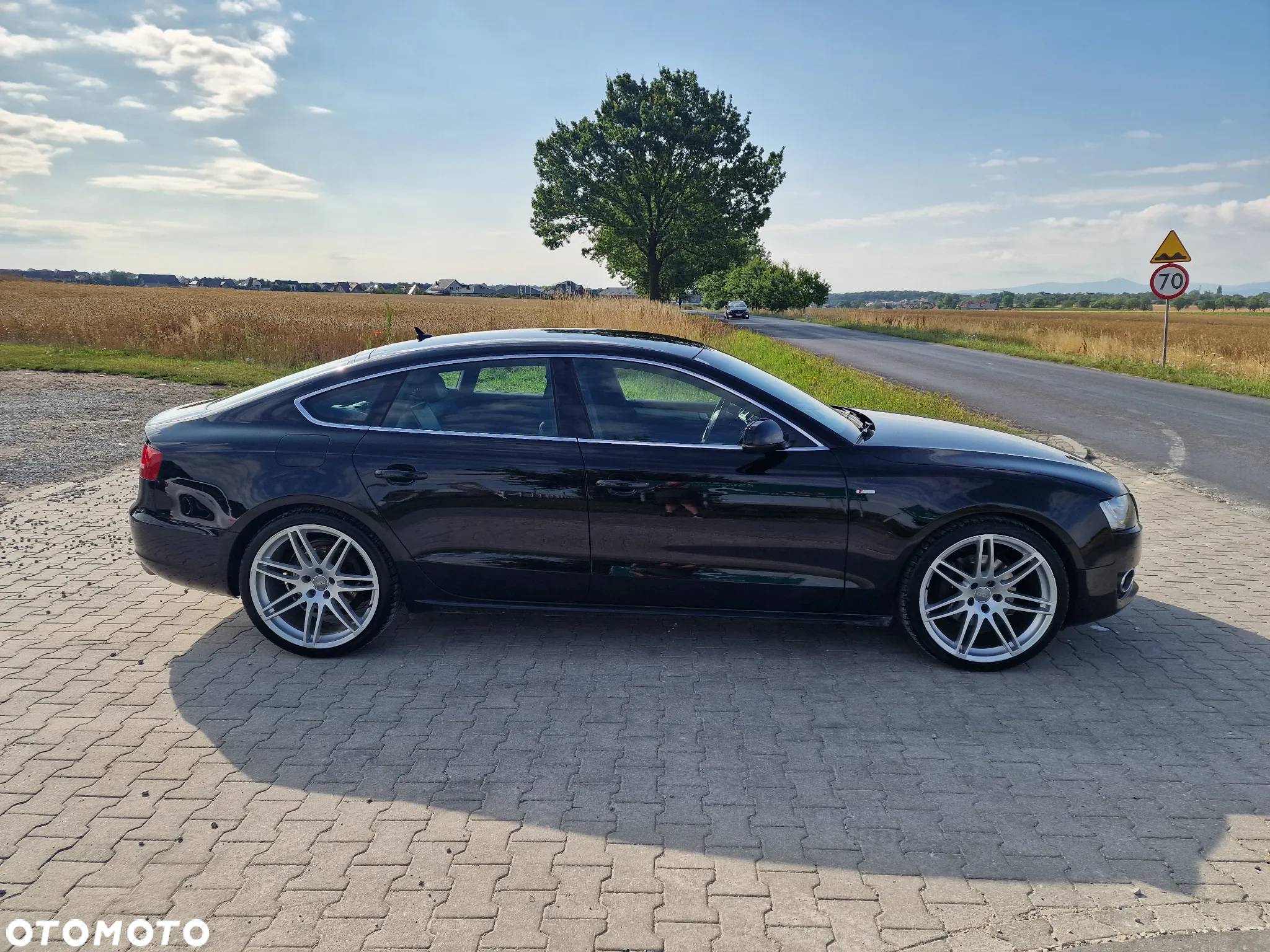 Audi A5 3.0 TDI Sportback quattro DPF S tronic - 8