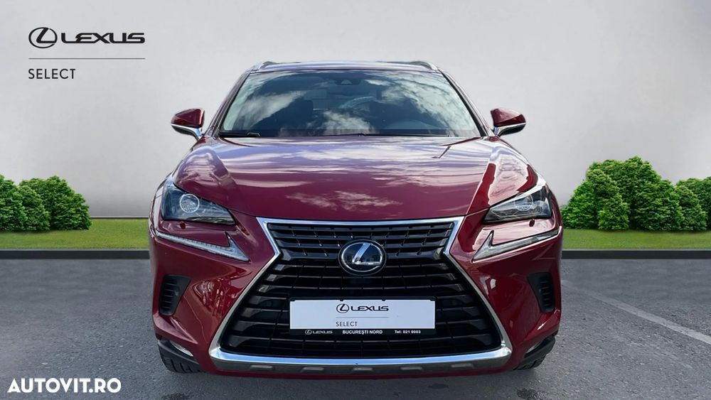 Lexus Seria NX 300h AWD Executive Plus - 3