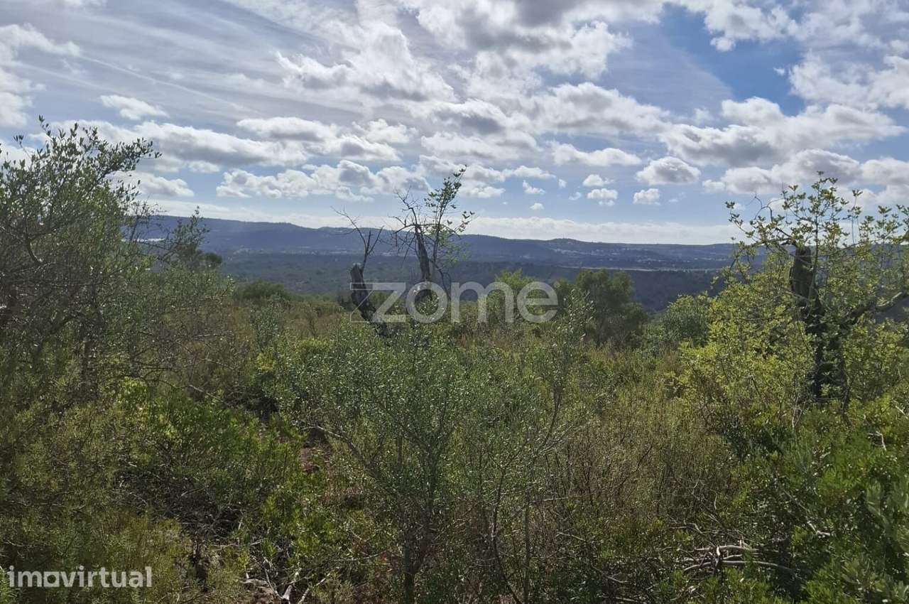 Terreno Rústico em Monte Brito com 18.390m2 - Grande imagem: 3/17