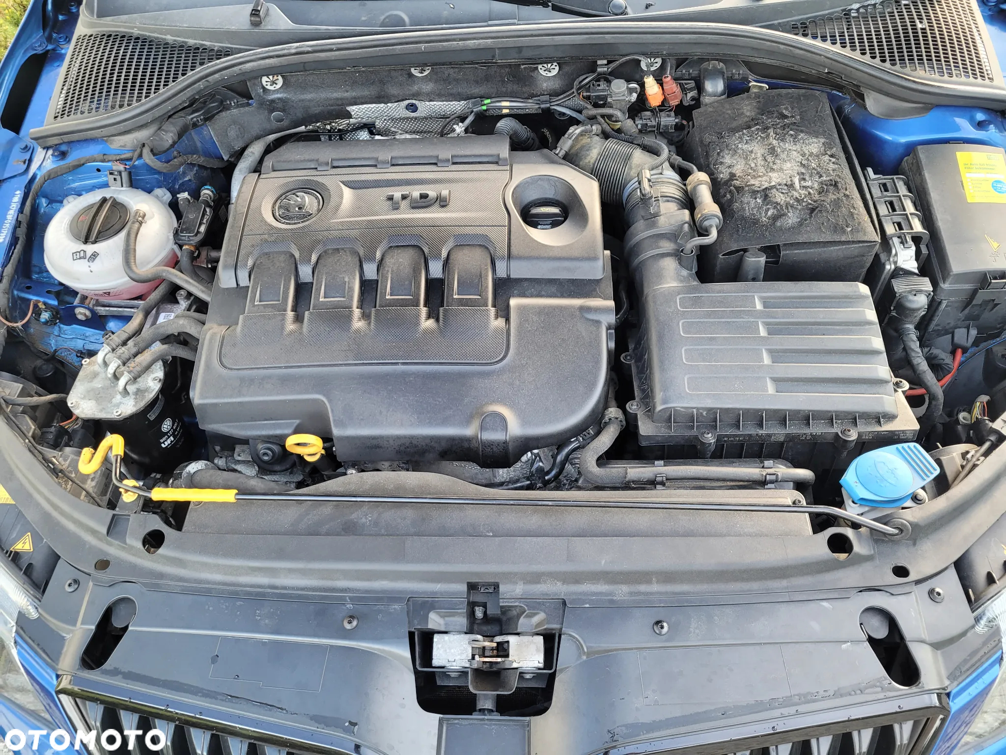 Skoda Octavia - 5