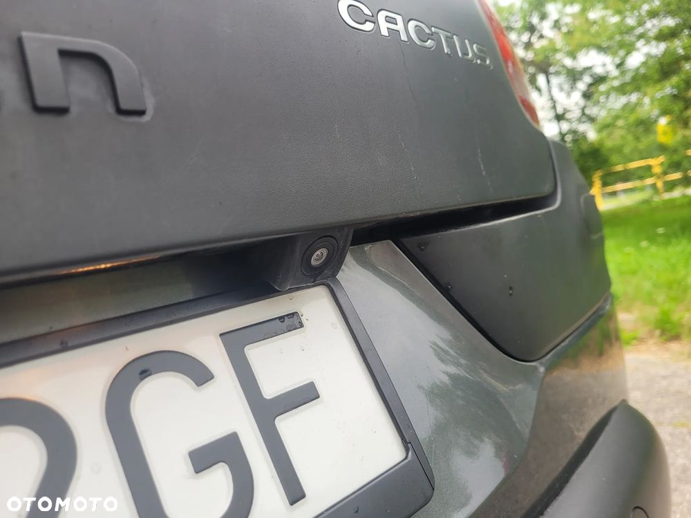 Citroën C4 Cactus BlueHDi 100 Stop&Start Shine - 24