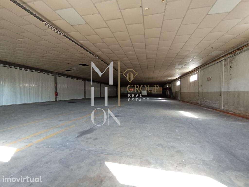 Cortegaça, Ovar | Conjunto de 8 Armazéns Contíguos - Grande imagem: 2/4