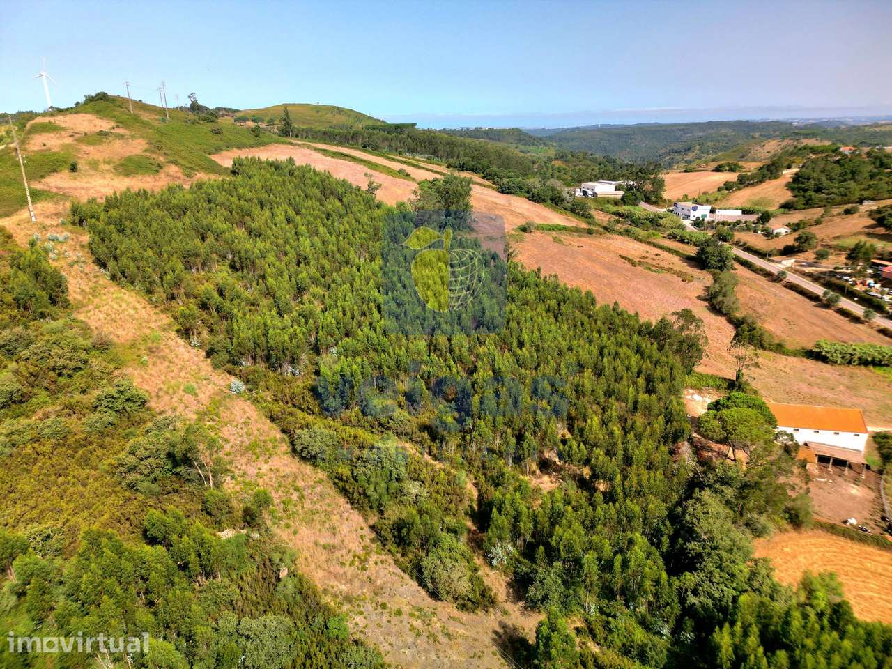 Terreno Rústico com Eucaliptal 14.621m² Abrunheira - Mafra - Grande imagem: 2/6