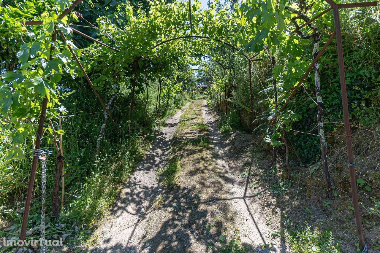 Moradias de charme em Baião Douro Vinhateiro - Grande imagem: 2/53