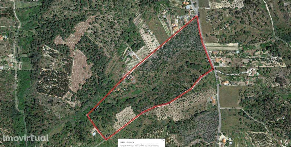 QUINTA MISTA EM ERRA, CORUCHE - Grande imagem: 4/41