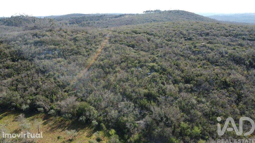 Terreno Agrícola em Chãos - Grande imagem: 3/27