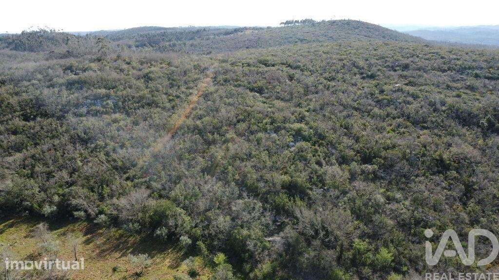 Terreno Agrícola em Chãos - Grande imagem: 3/27