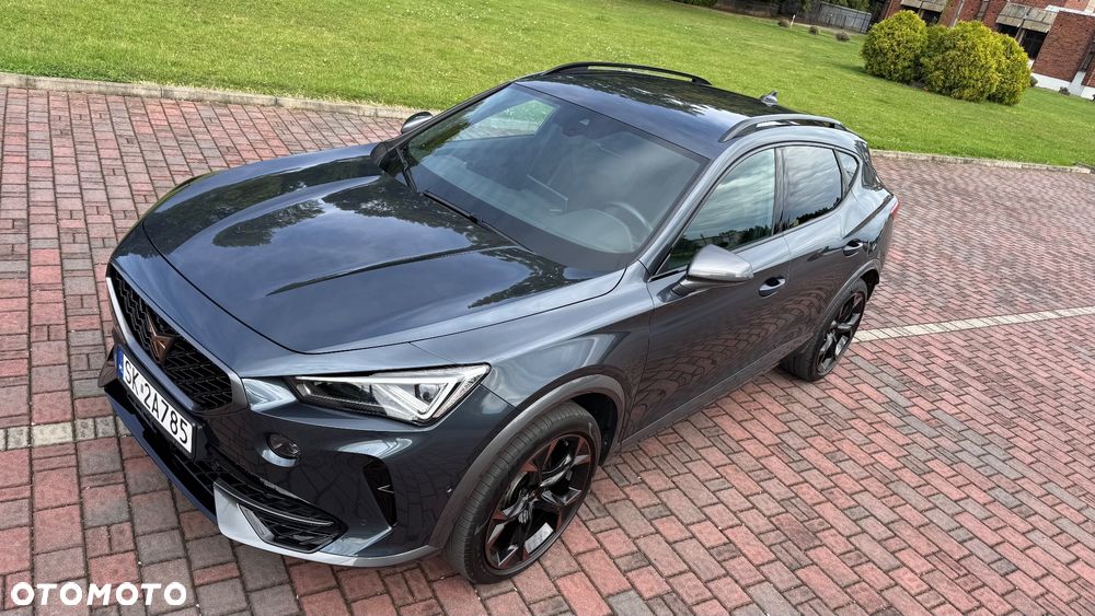 Cupra Formentor 2.0 TSI 4Drive DSG - 29