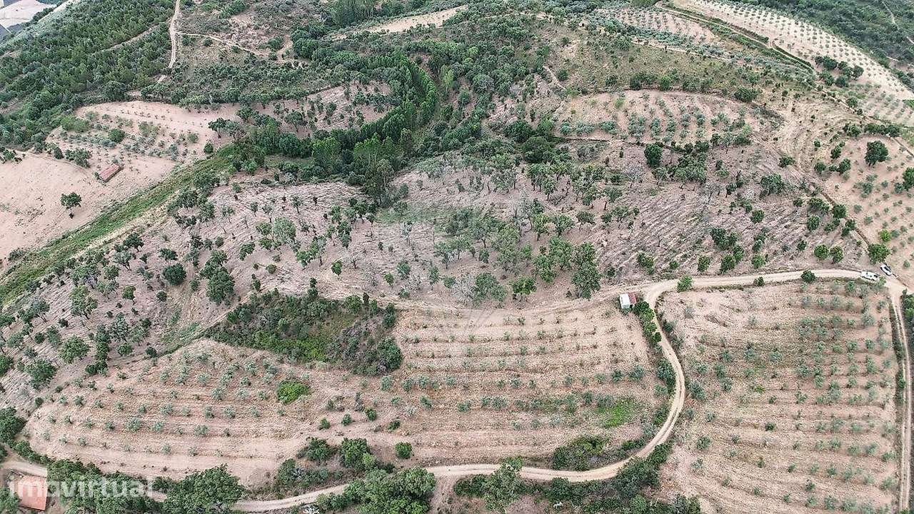 Terreno  para venda - Grande imagem: 3/4