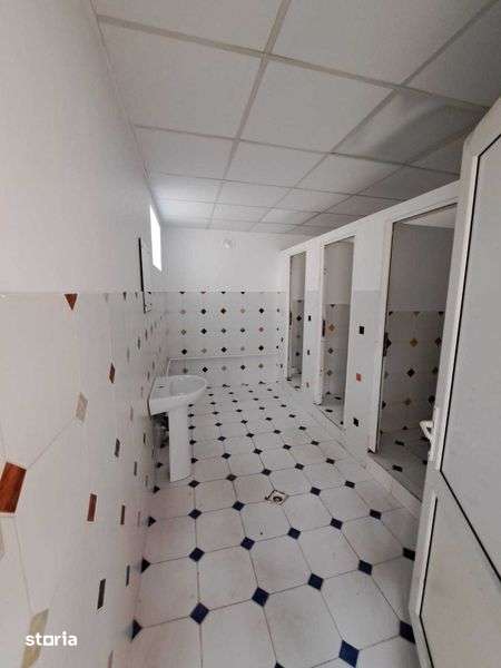 Vand teren + hala in judetul Prahova, localitatea Floresti - 29.970 MP - Imagine principală: 4/8