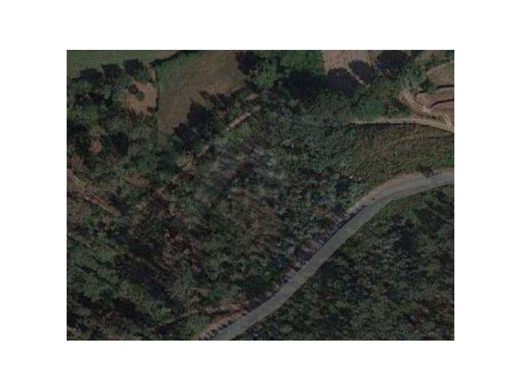 Terreno c/ 6.000 m2 (5 bouças). - Grande imagem: 4/5