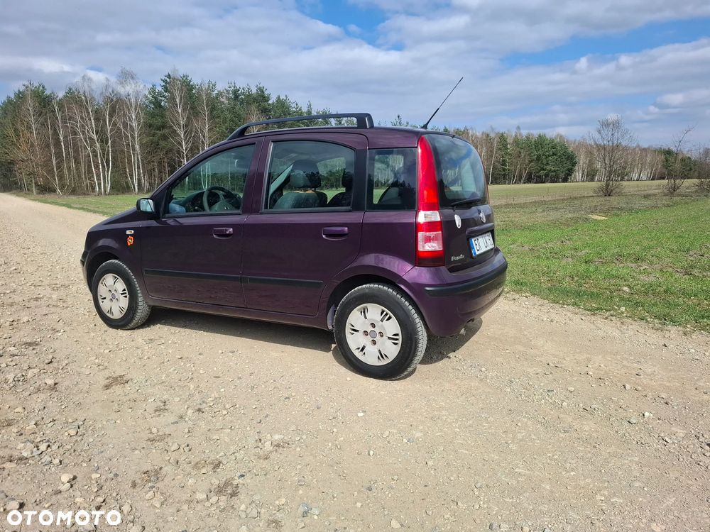 Fiat Panda 1.2 Active - 6