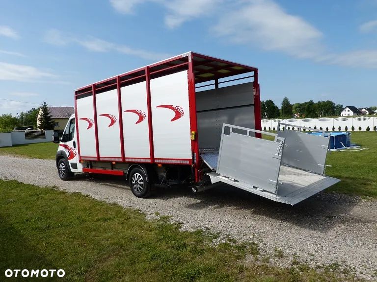 Peugeot BOXER DO ŻYWCA / ZWIERZĄT / BYDŁA / TRZODY CHLEWNEJ / EURO 6 / KAT. B / STAN PERFECT - 18