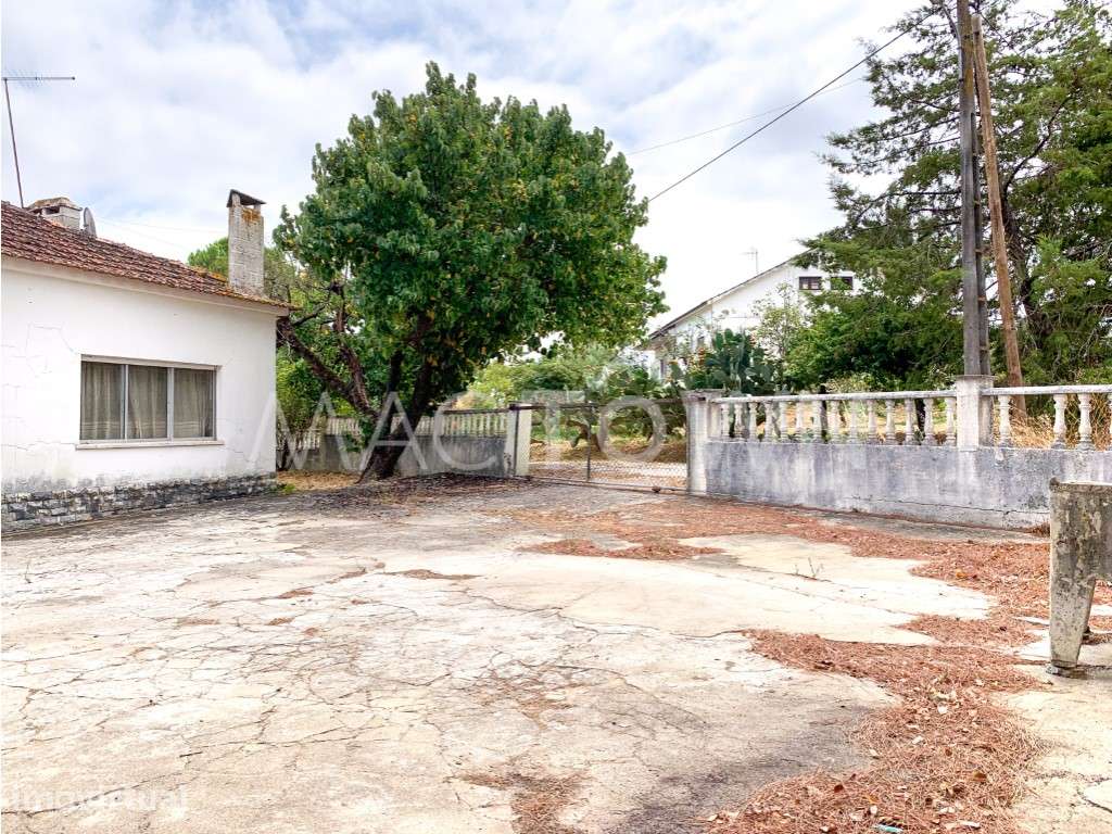 A Sua Nova Casa Começa Aqui: Moradia T3 na Gouxaria - Grande imagem: 4/25