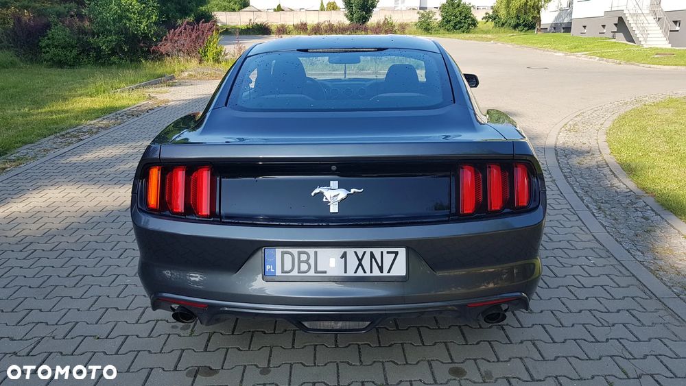 Ford Mustang - 14