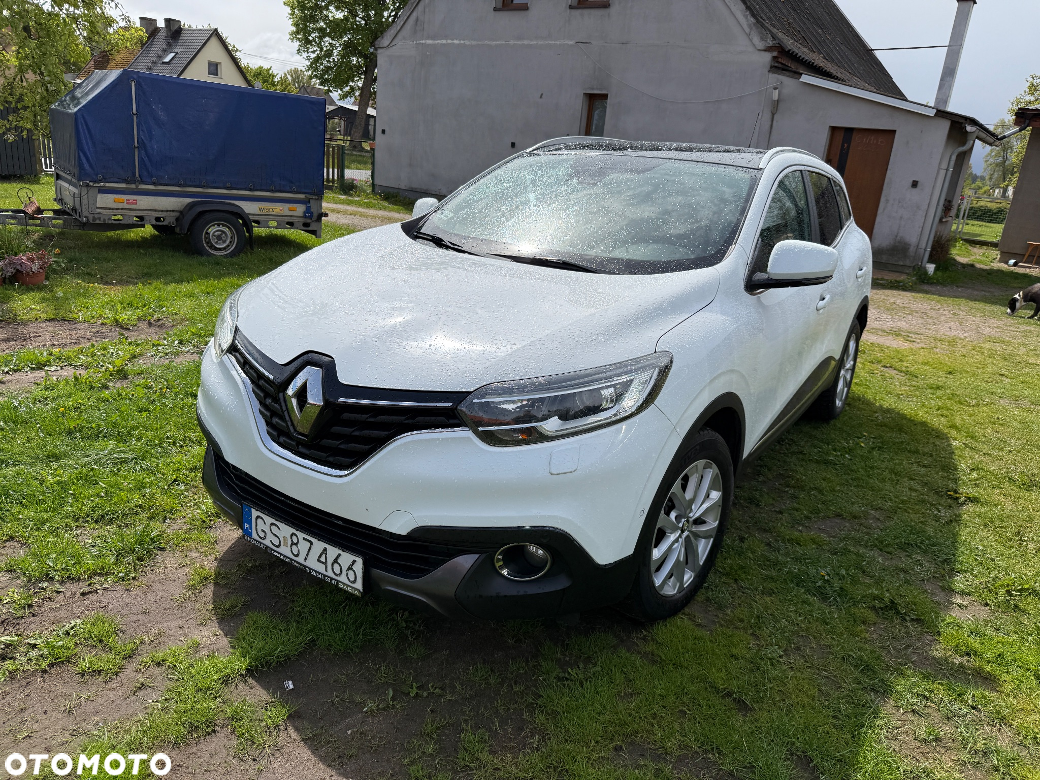 Renault Kadjar 1.2 Energy TCe Business - 9