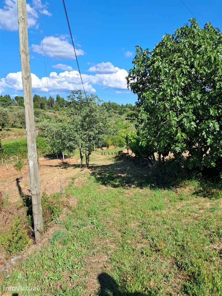 Terreno Para Construção  Venda em Nelas,Nelas - Grande imagem: 2/17