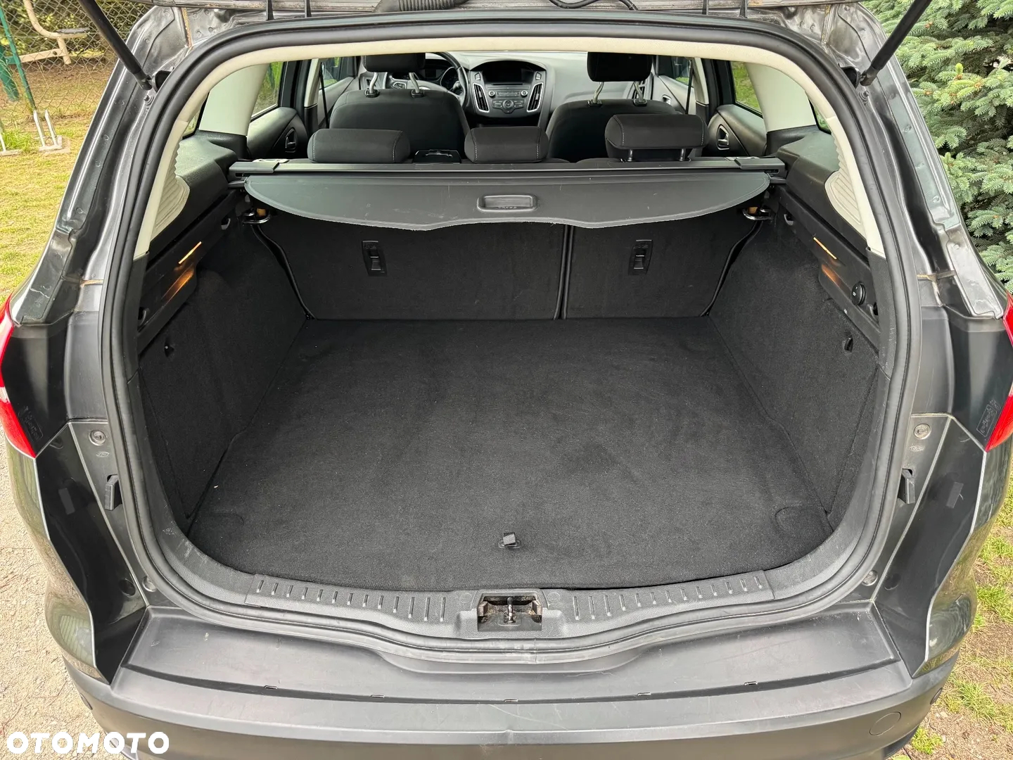 Ford Focus - 7